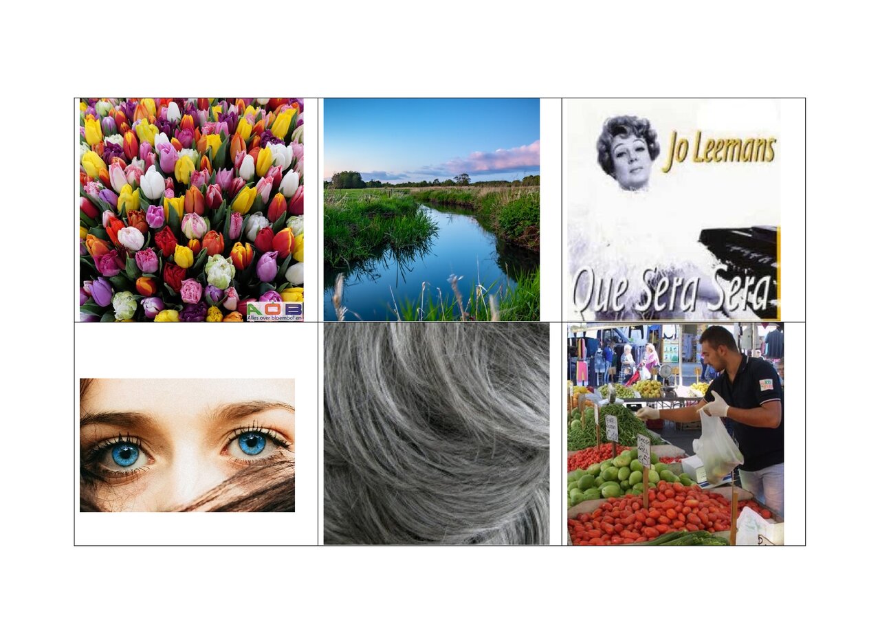 Preview van swingo kaarten.docx