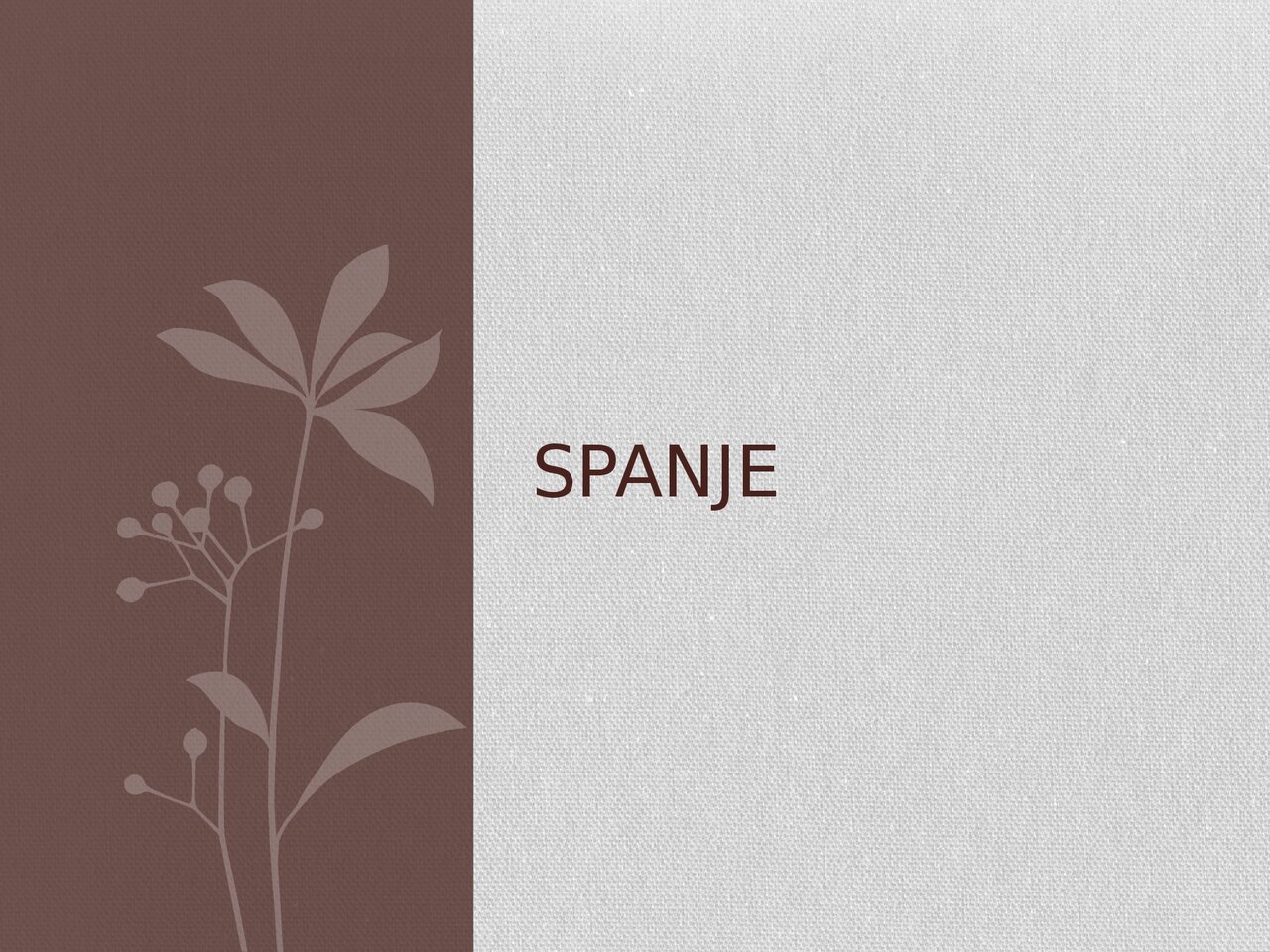 Preview van SPANJE.pptx