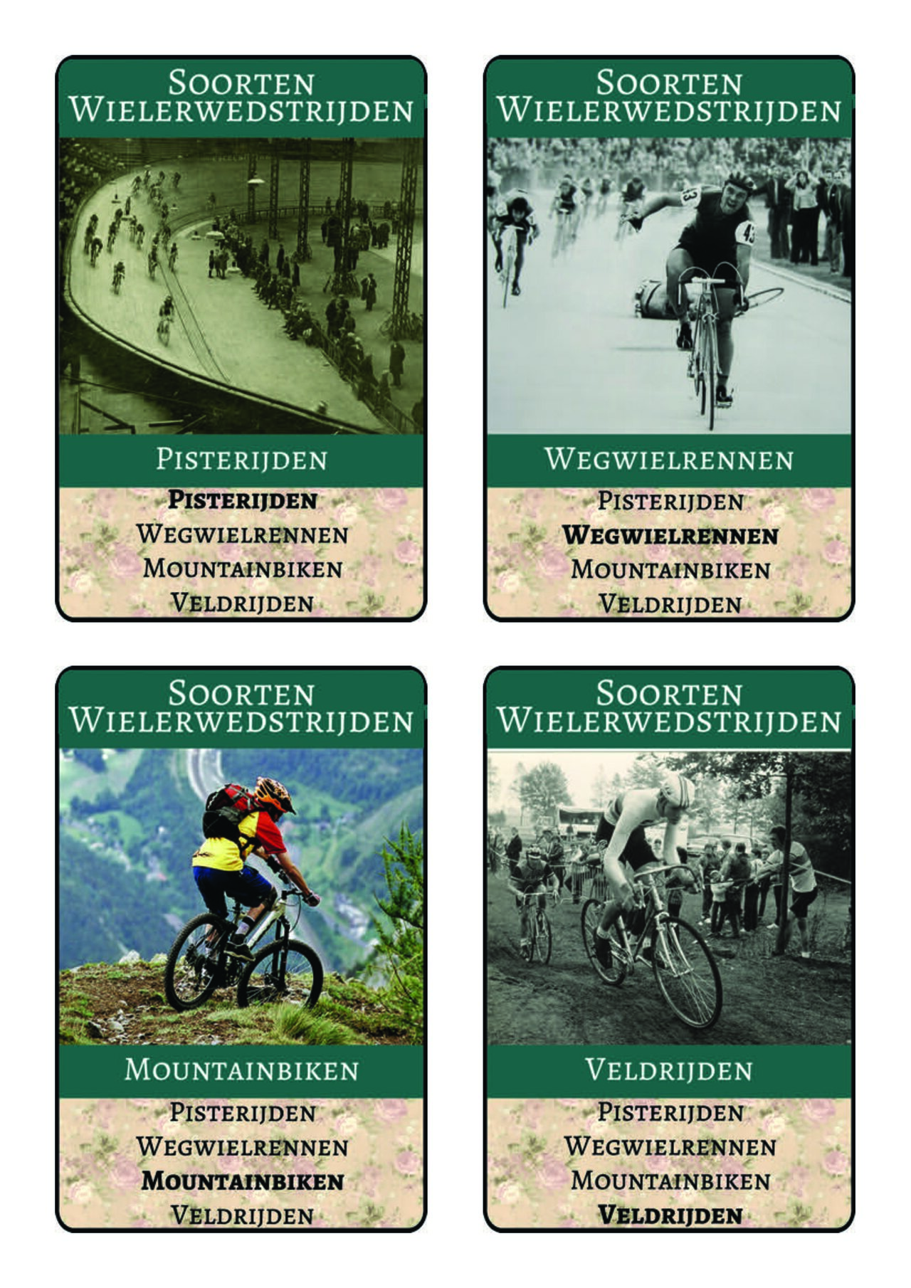 Preview van kwartetspel_kaarten.pdf