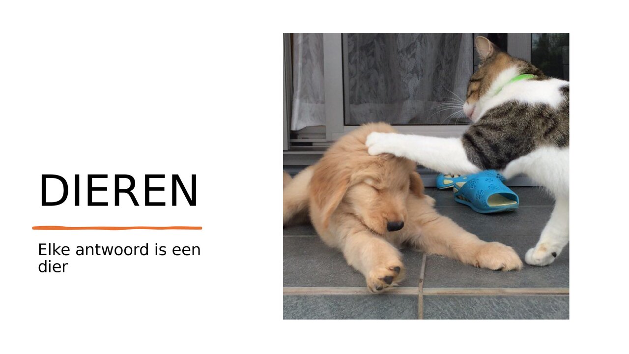 Preview van quiz T&L.pptx