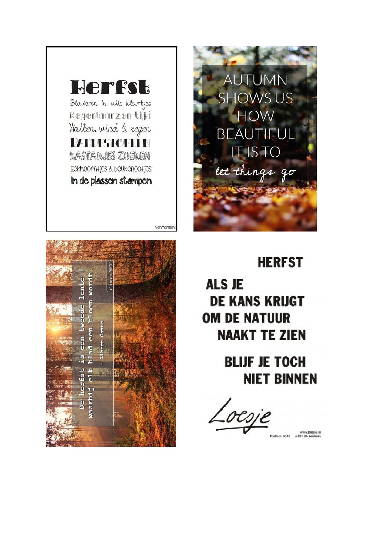 Preview van Voorbereiding-Reminiscentie-Herfst.docx