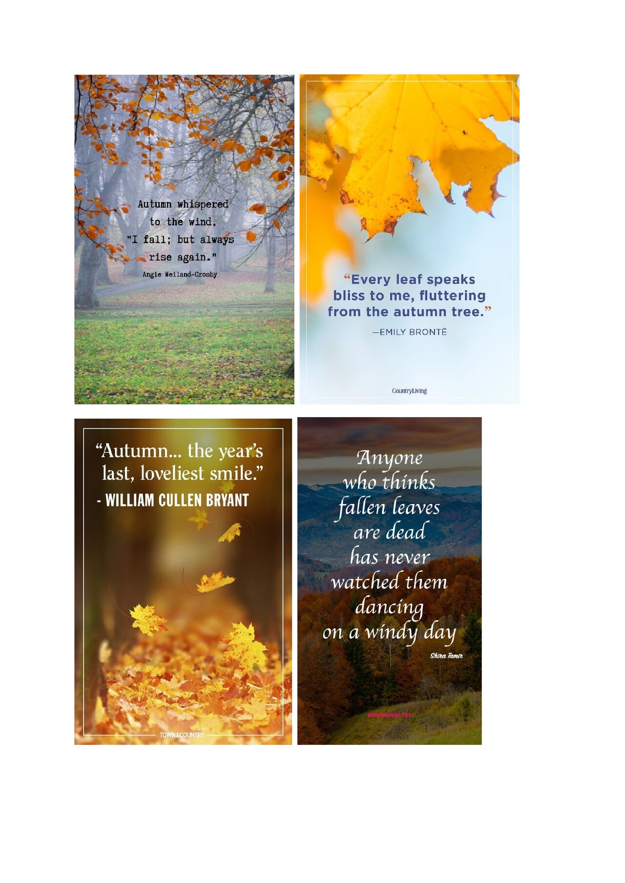 Preview van Voorbereiding-Reminiscentie-Herfst.docx