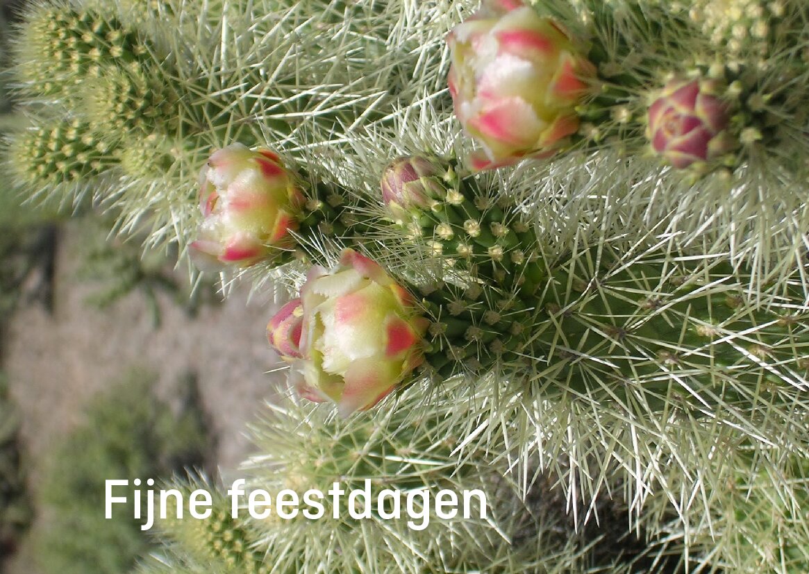 Preview van VillaTerMolenFijnefeestdagen-2.pdf