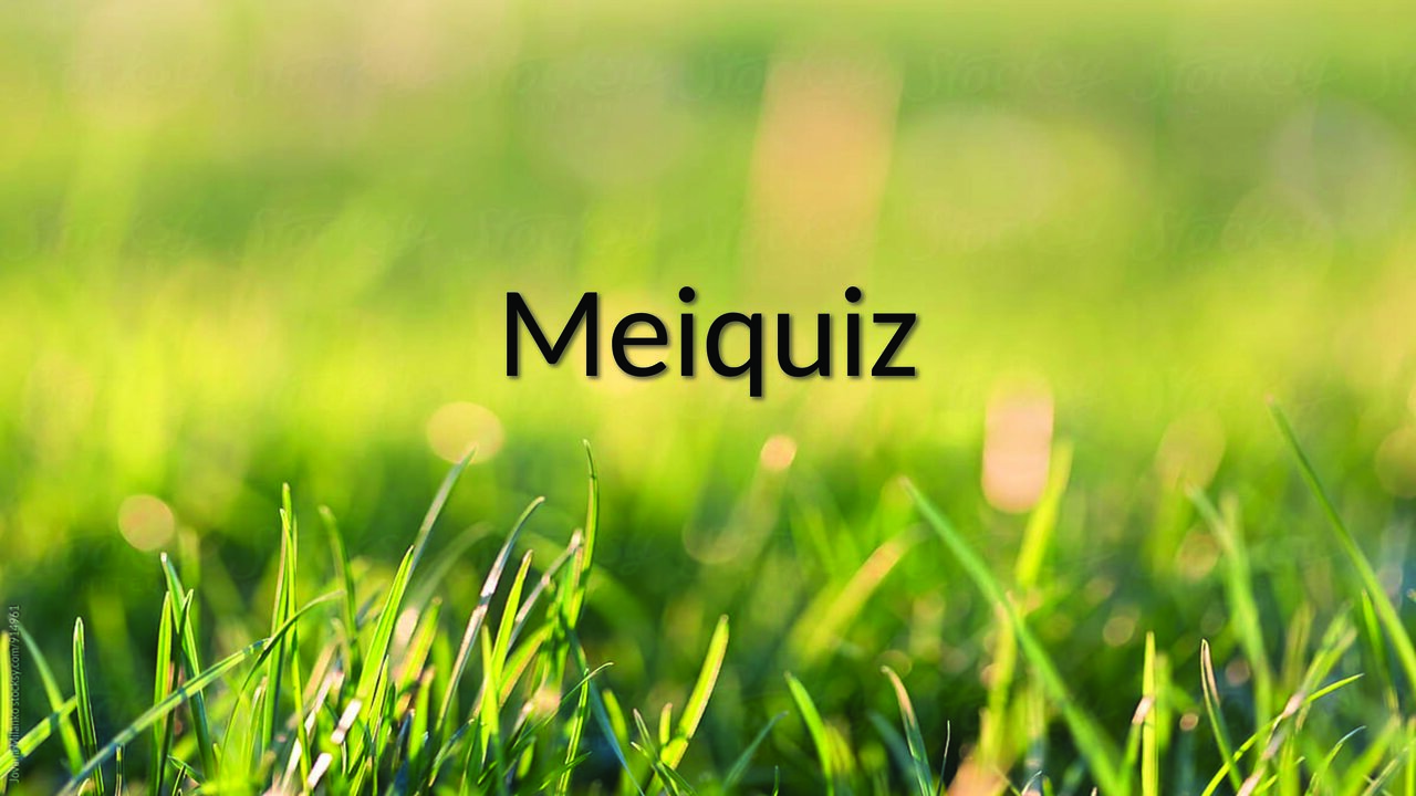 Preview van Meiquiz.pdf