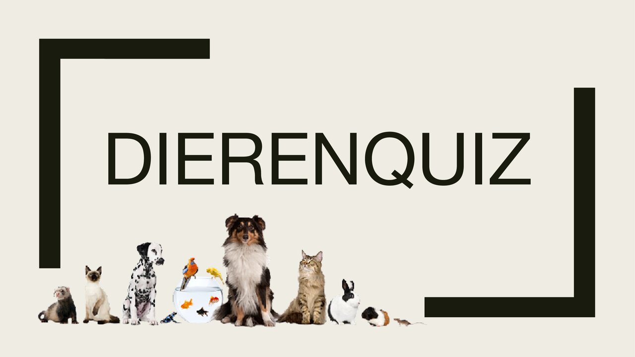 Preview van dierenquiz_deel_1.pptx