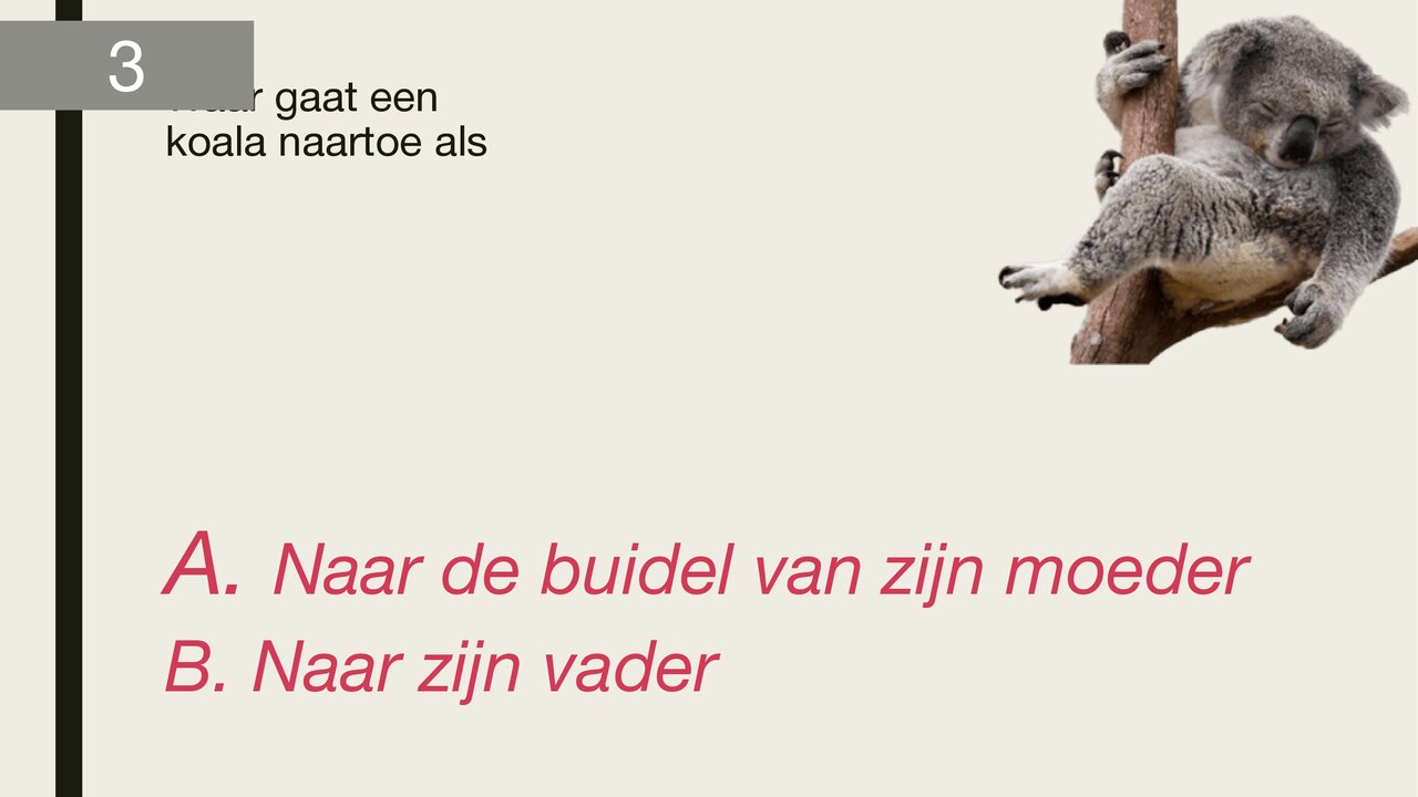 Preview van dierenquiz_deel_1.pptx