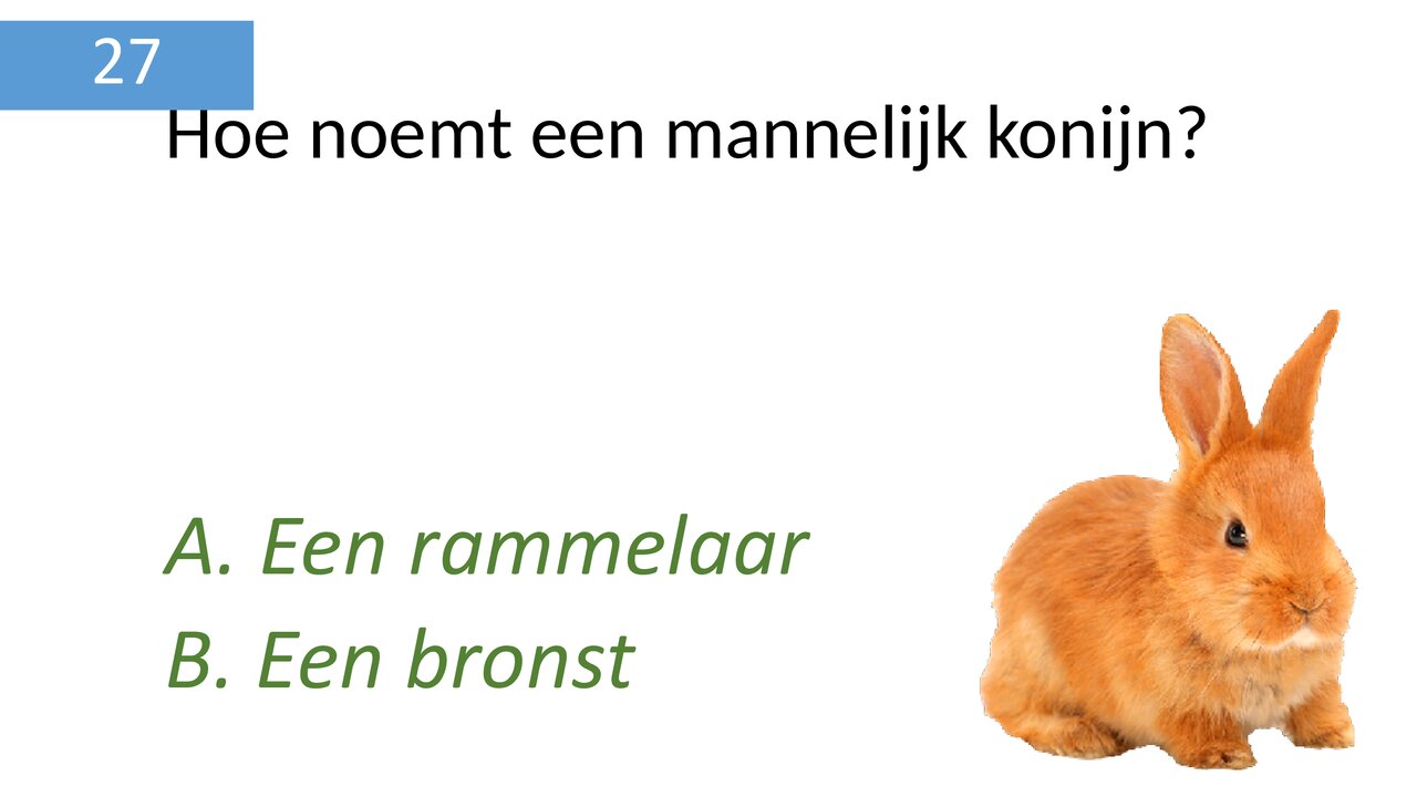 Preview van dierenquiz_deel_2.pptx