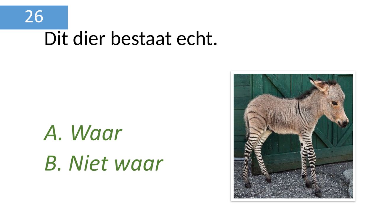 Preview van dierenquiz_deel_2.pdf