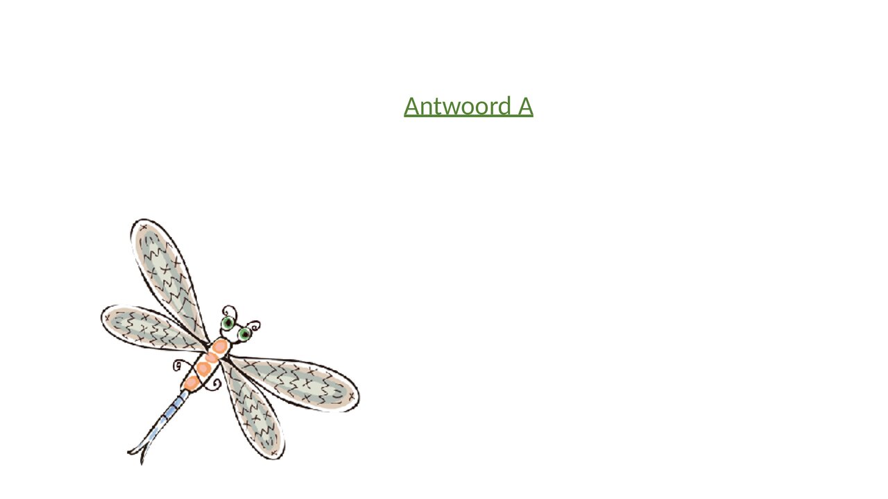 Preview van dierenquiz_deel_2.pdf