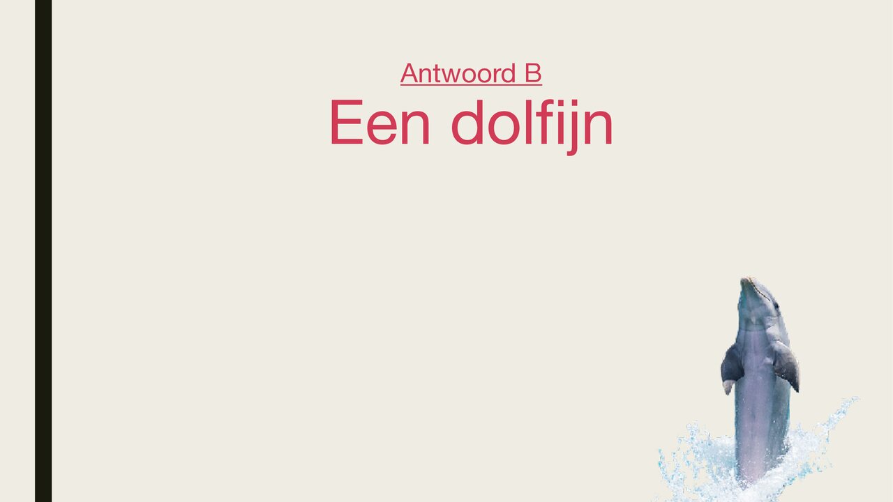 Preview van dierenquiz_deel_1.pdf