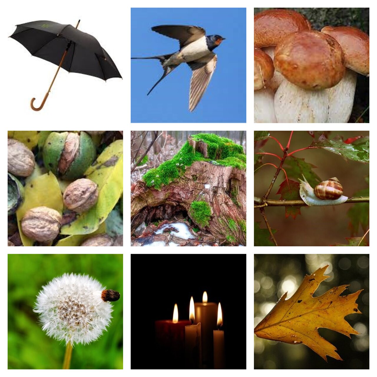 Preview van herfst1.pdf