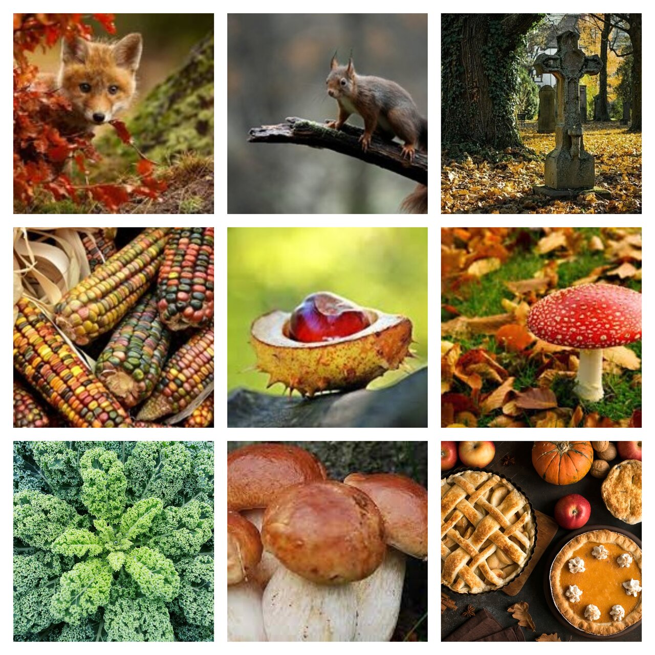 Preview van herfst3.pdf