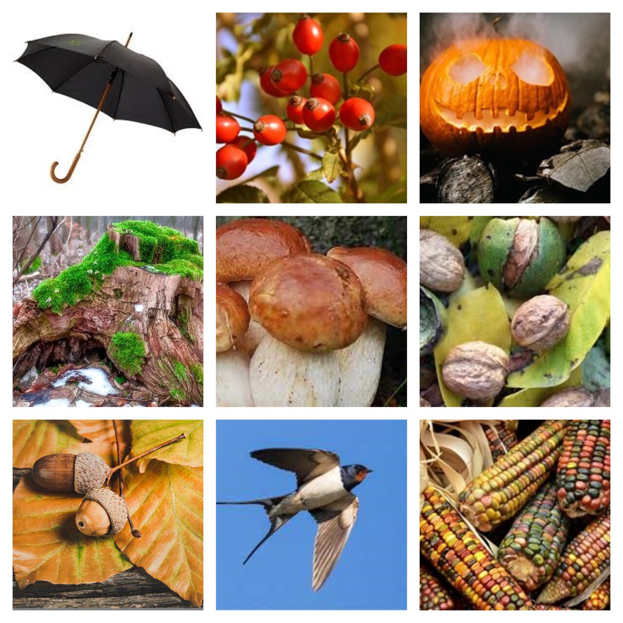 Preview van herfst4.pdf