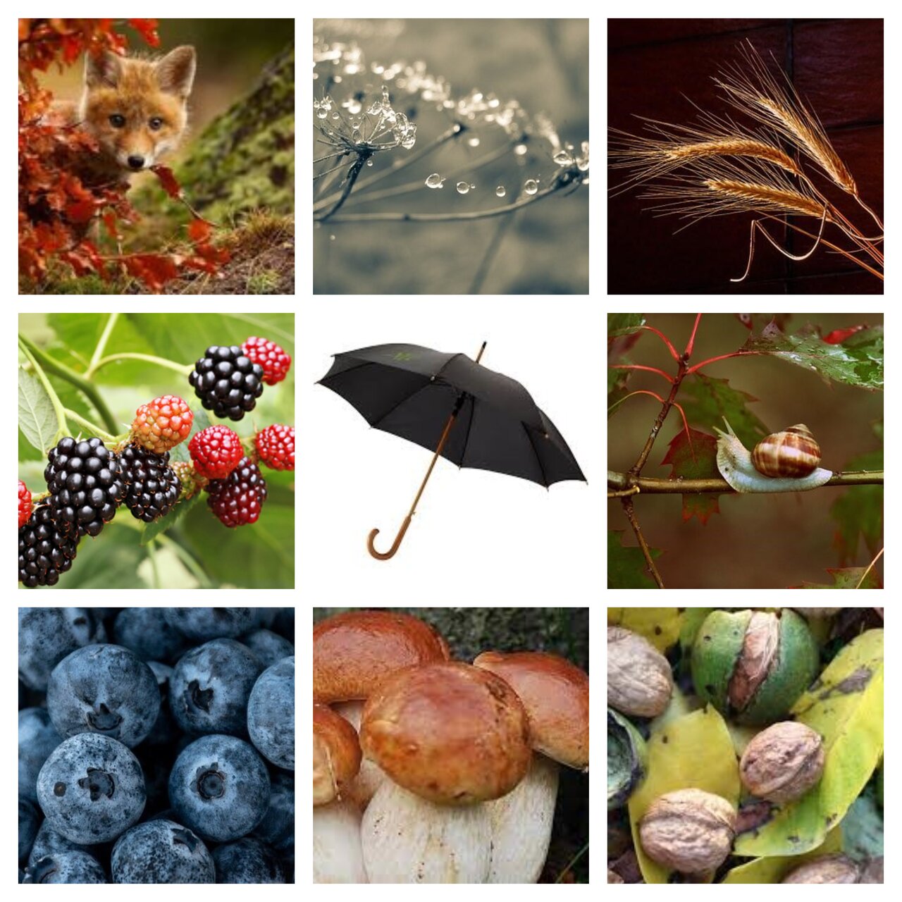 Preview van herfst5.pdf