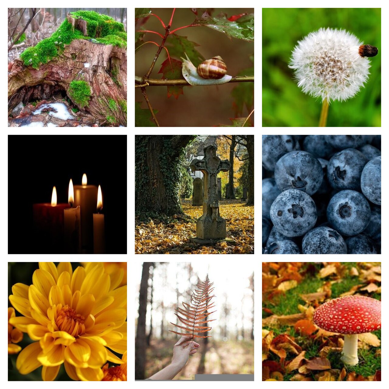 Preview van herfst6.pdf