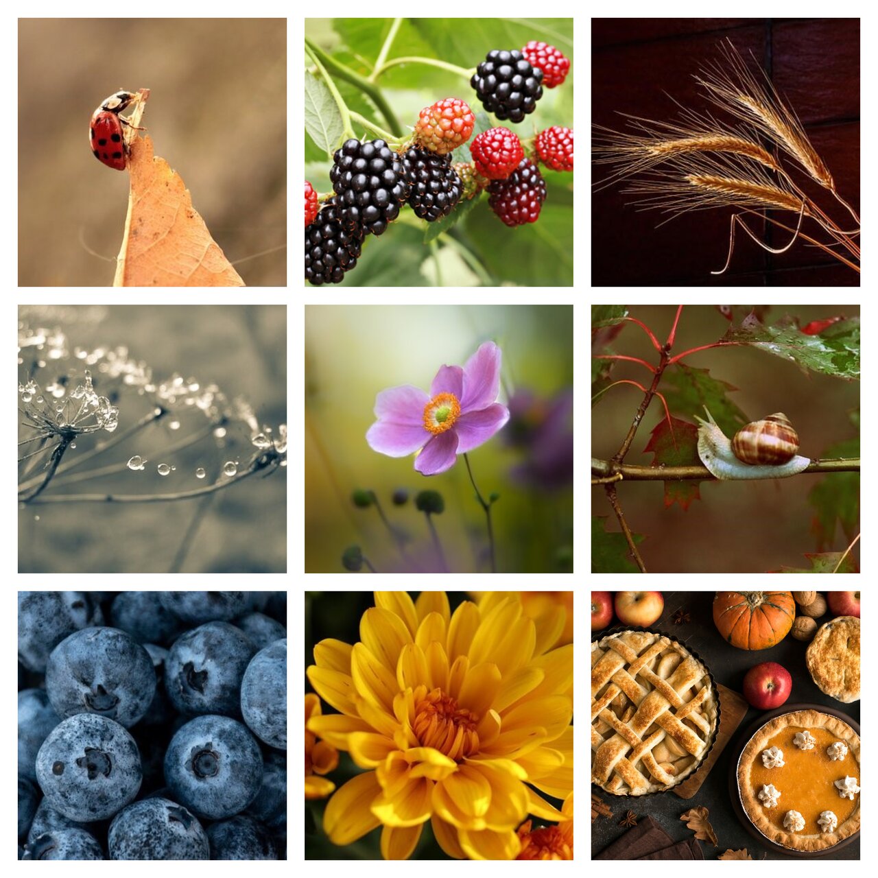 Preview van herfst7.pdf