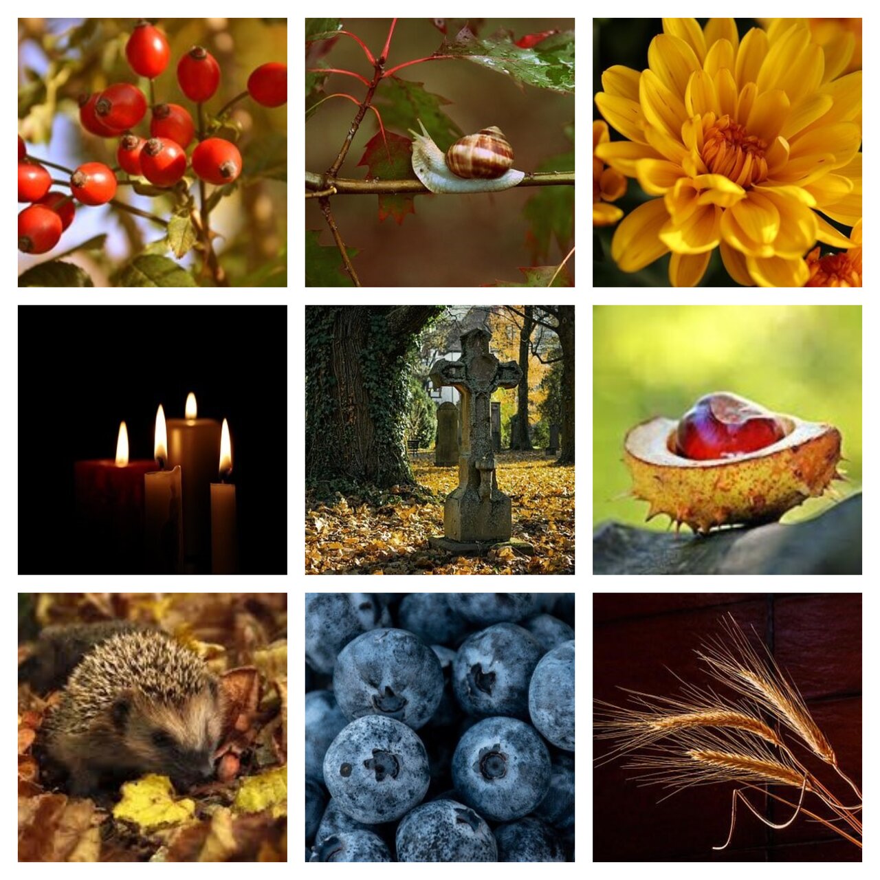 Preview van herfst8.pdf