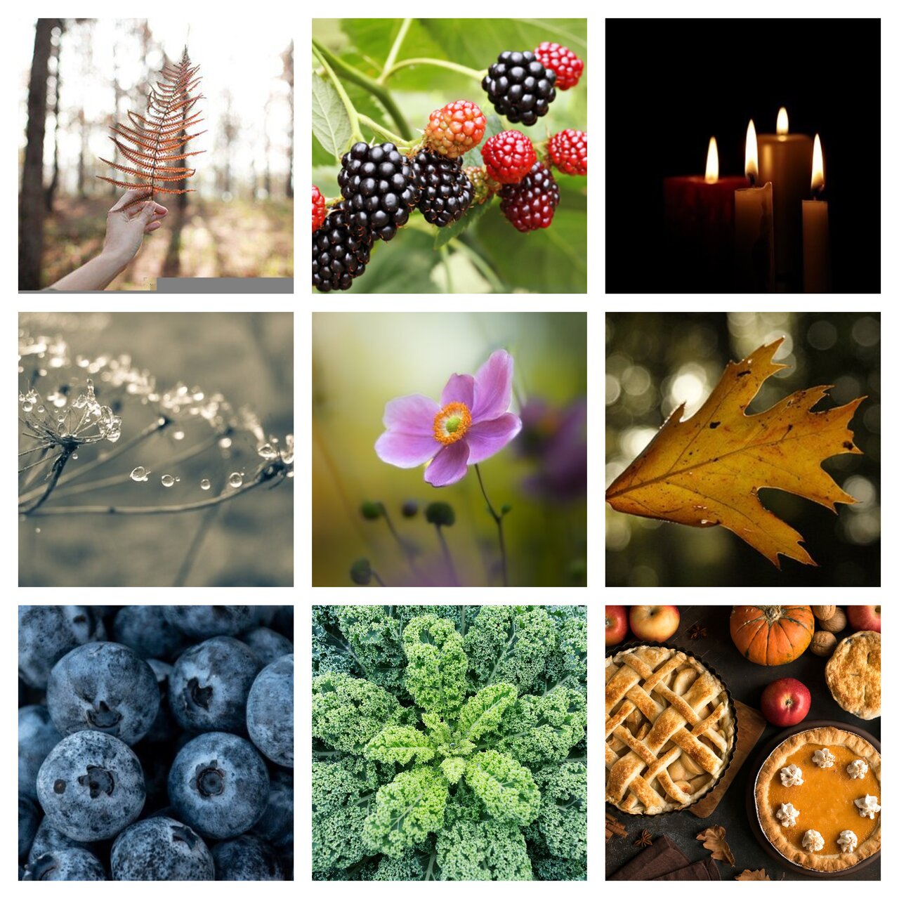 Preview van herfst9.pdf