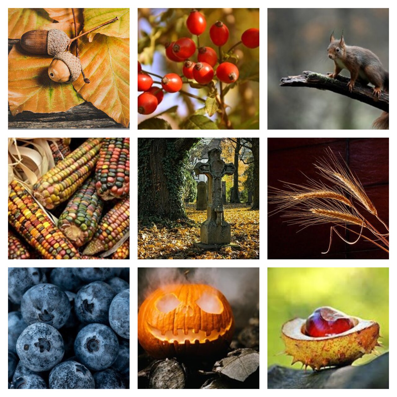 Preview van herfst14.pdf