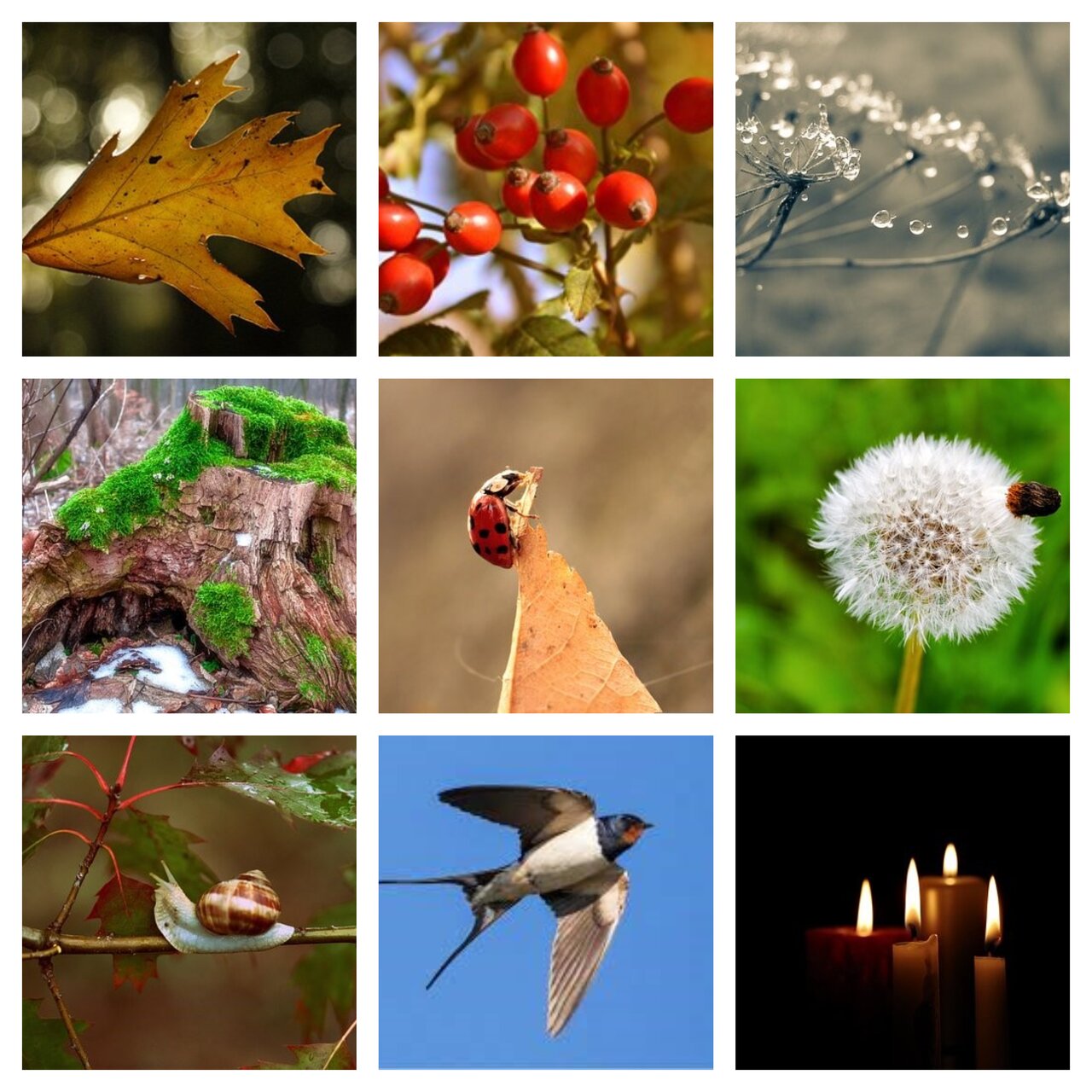 Preview van herfst16.pdf