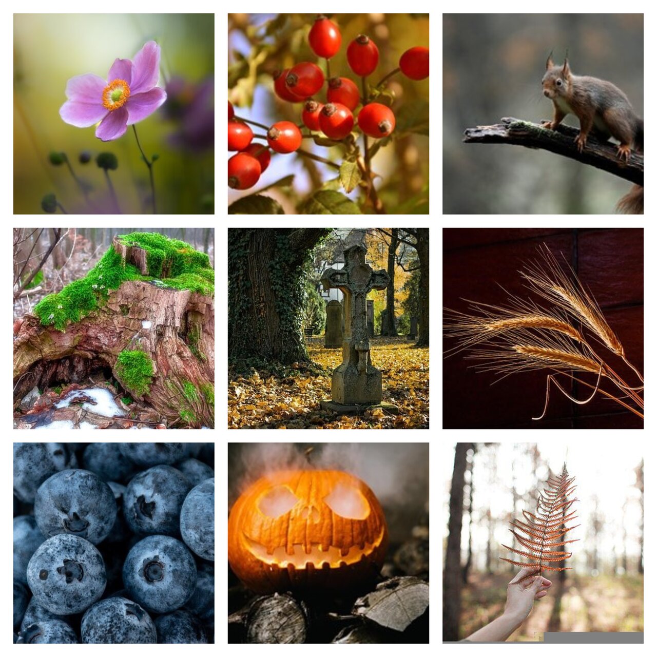 Preview van herfst19.pdf