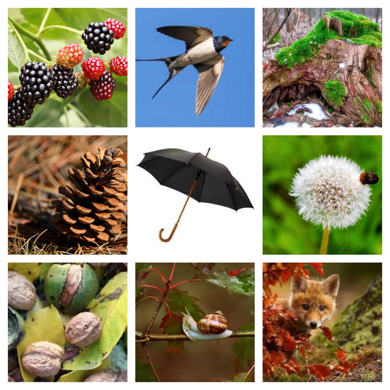 Preview van herfst20.pdf