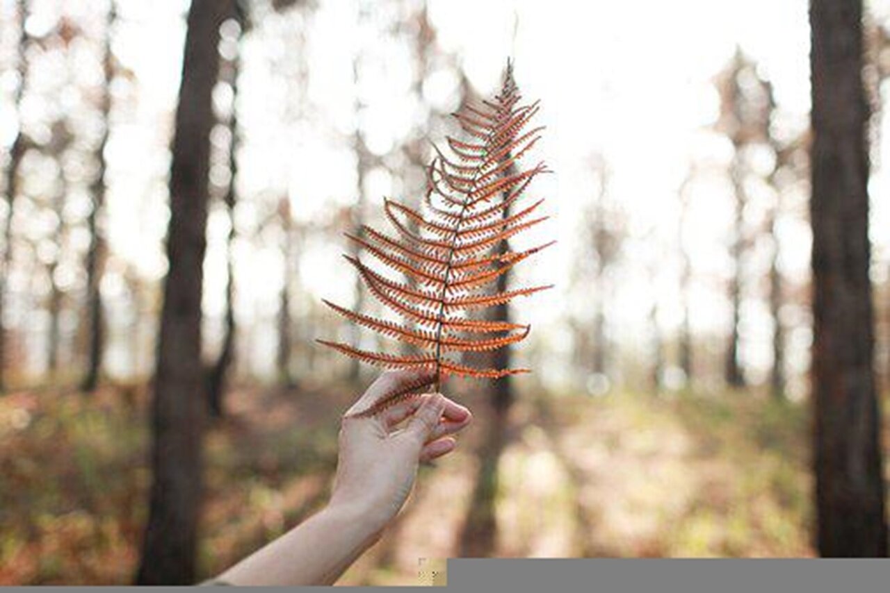 Preview van Afbeelding16.jpg