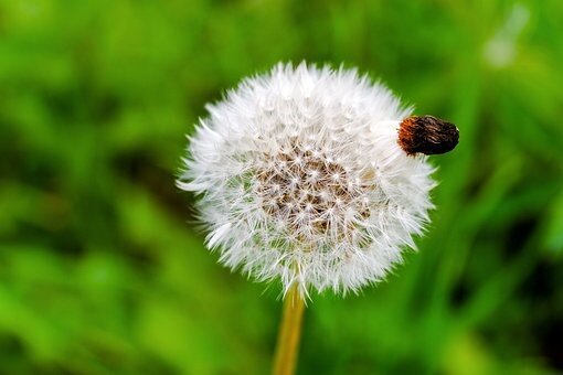 Preview van Afbeelding22.jpg