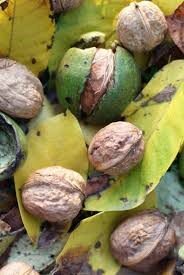 Preview van Afbeelding25.jpg