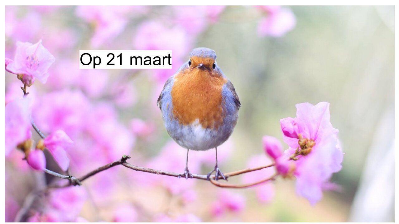 Preview van lentequiz.pptx