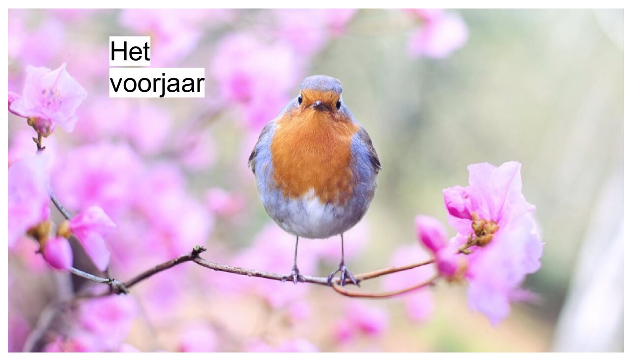 Preview van lentequiz.pptx