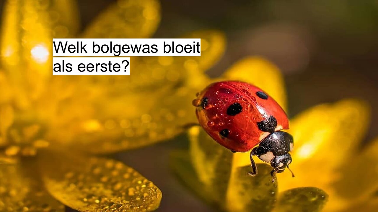 Preview van lentequiz.pptx