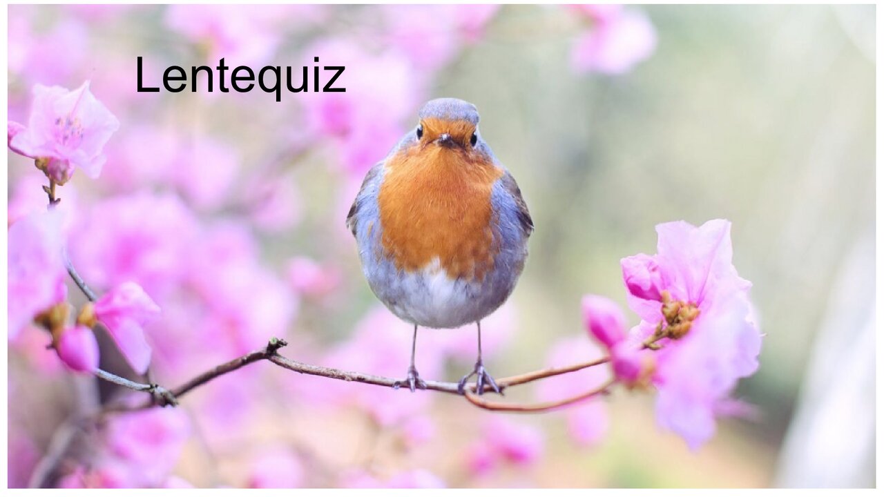 Preview van lentequiz.pdf