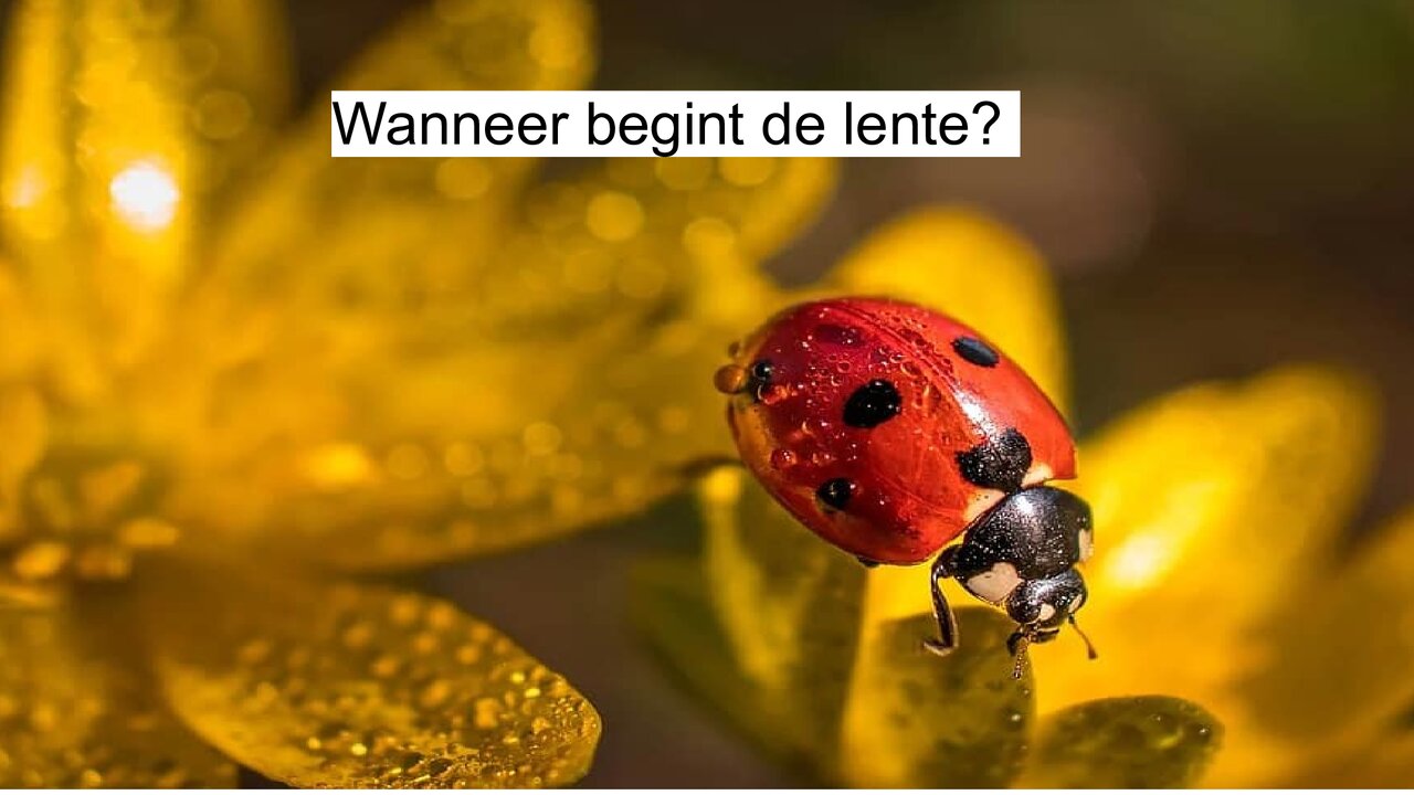 Preview van lentequiz.pdf