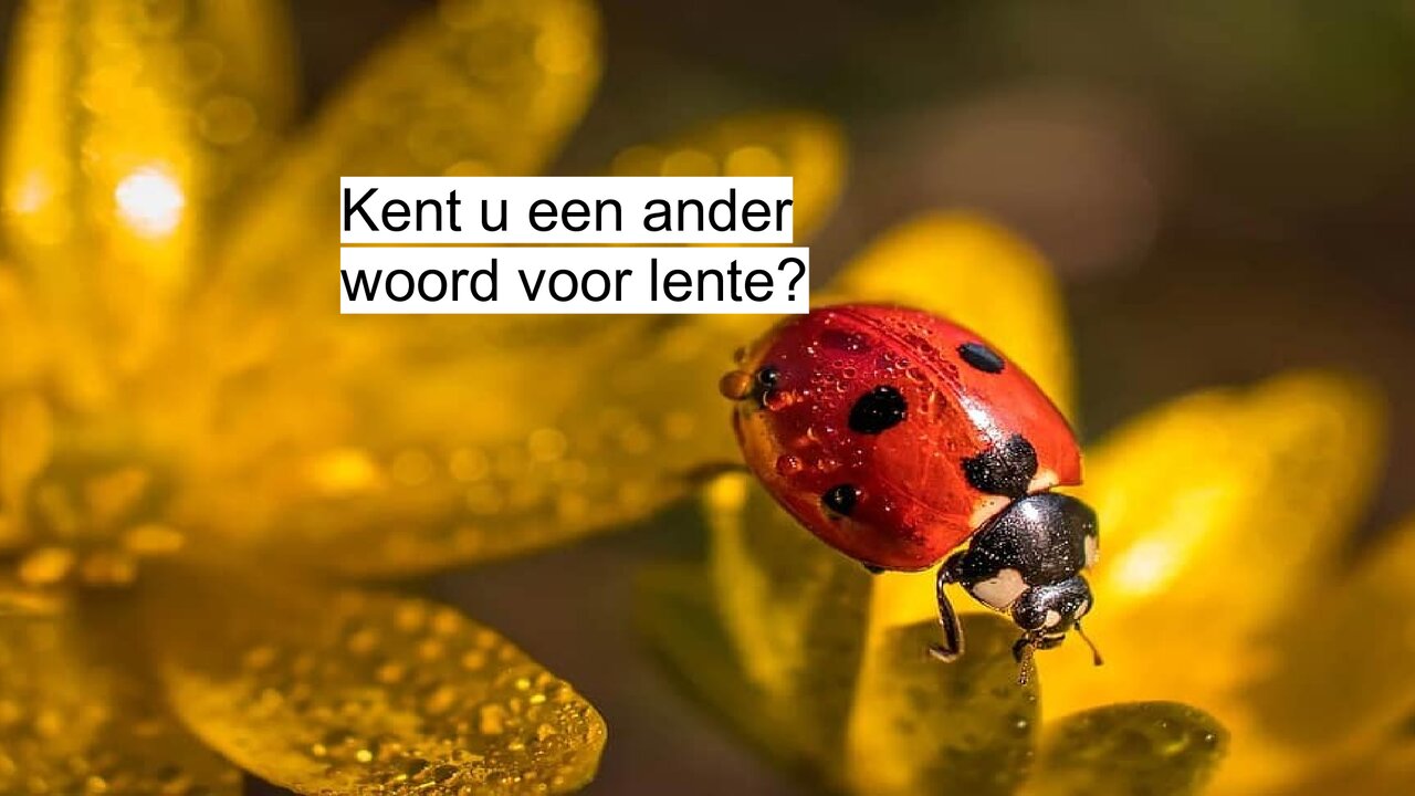 Preview van lentequiz.pdf