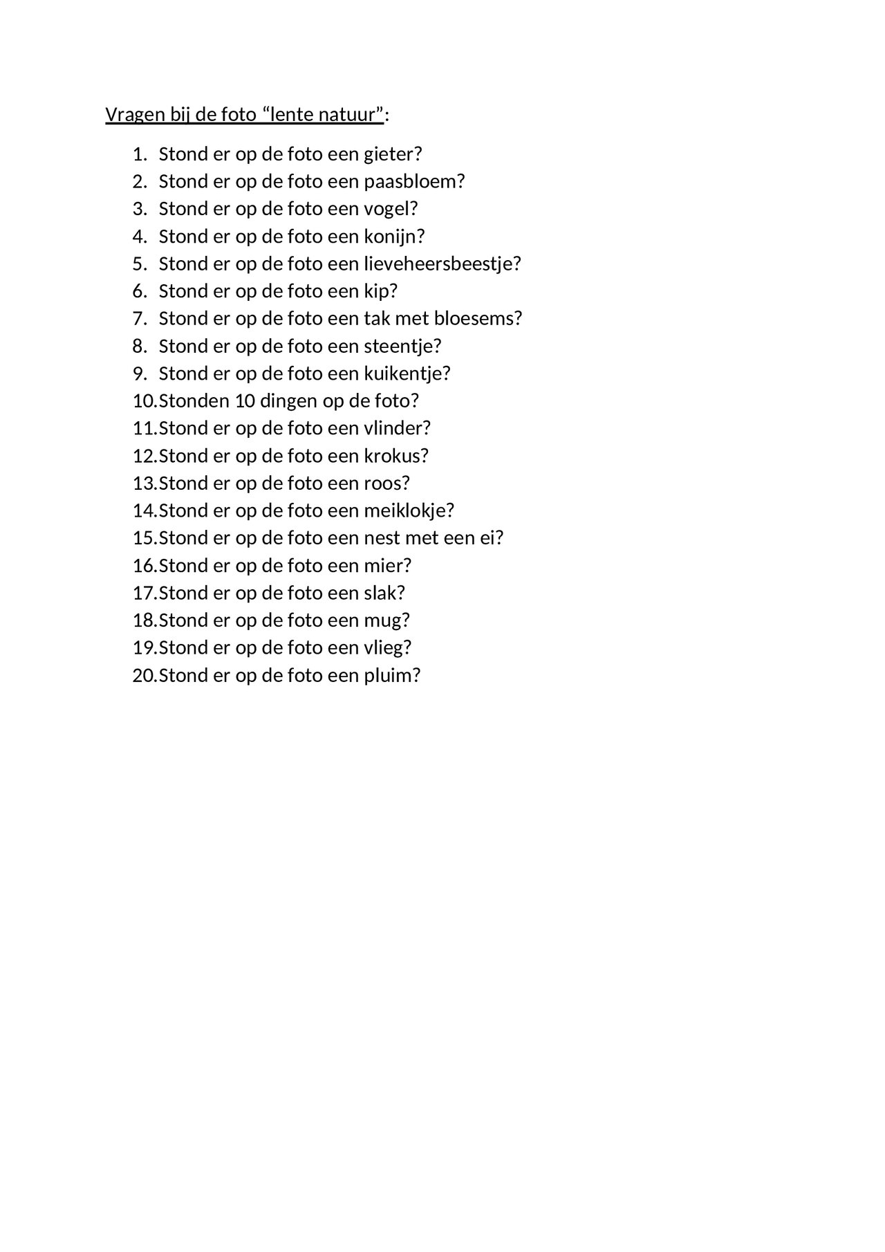 Preview van geheugentraining---wat-stond-er-op-de-foto-handleiding.docx