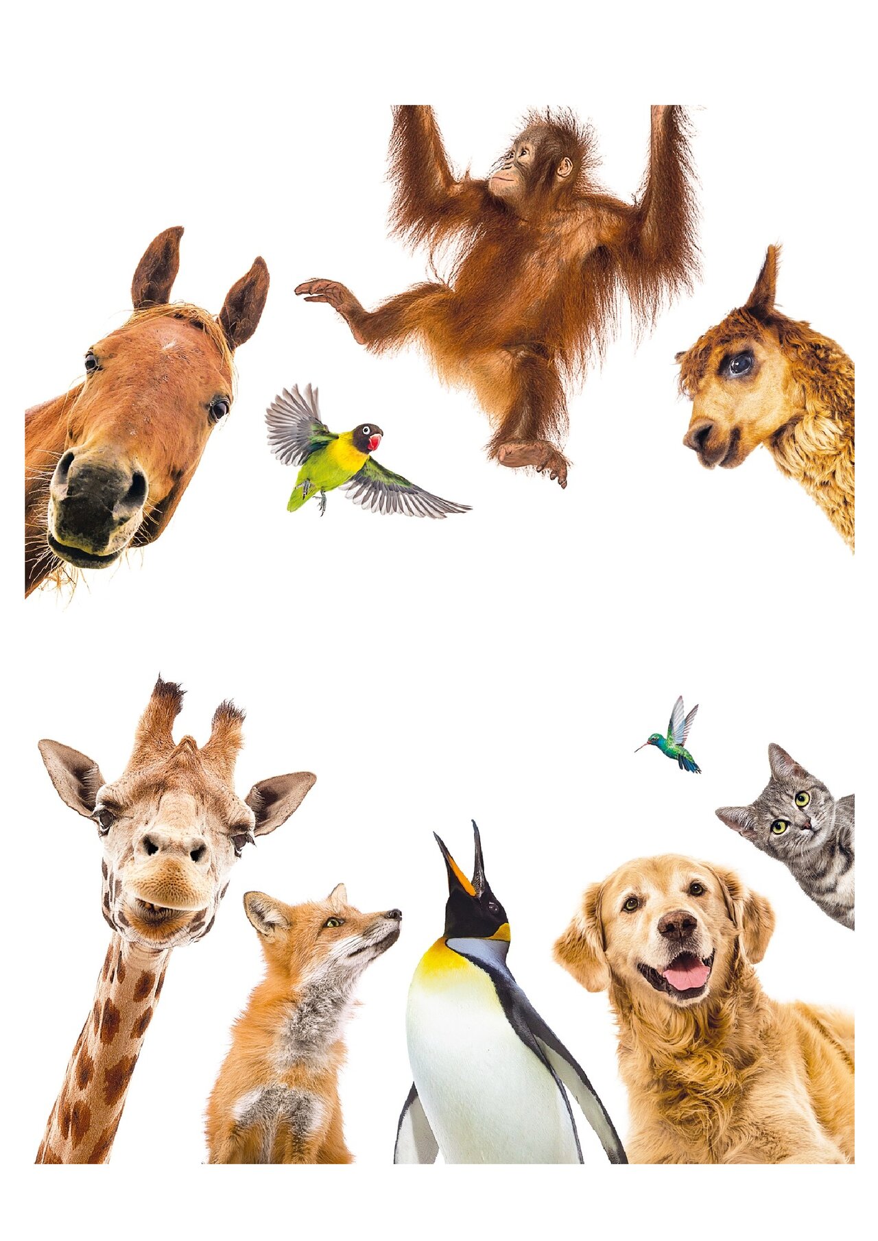 Preview van geheugentraining-moeilijk.docx