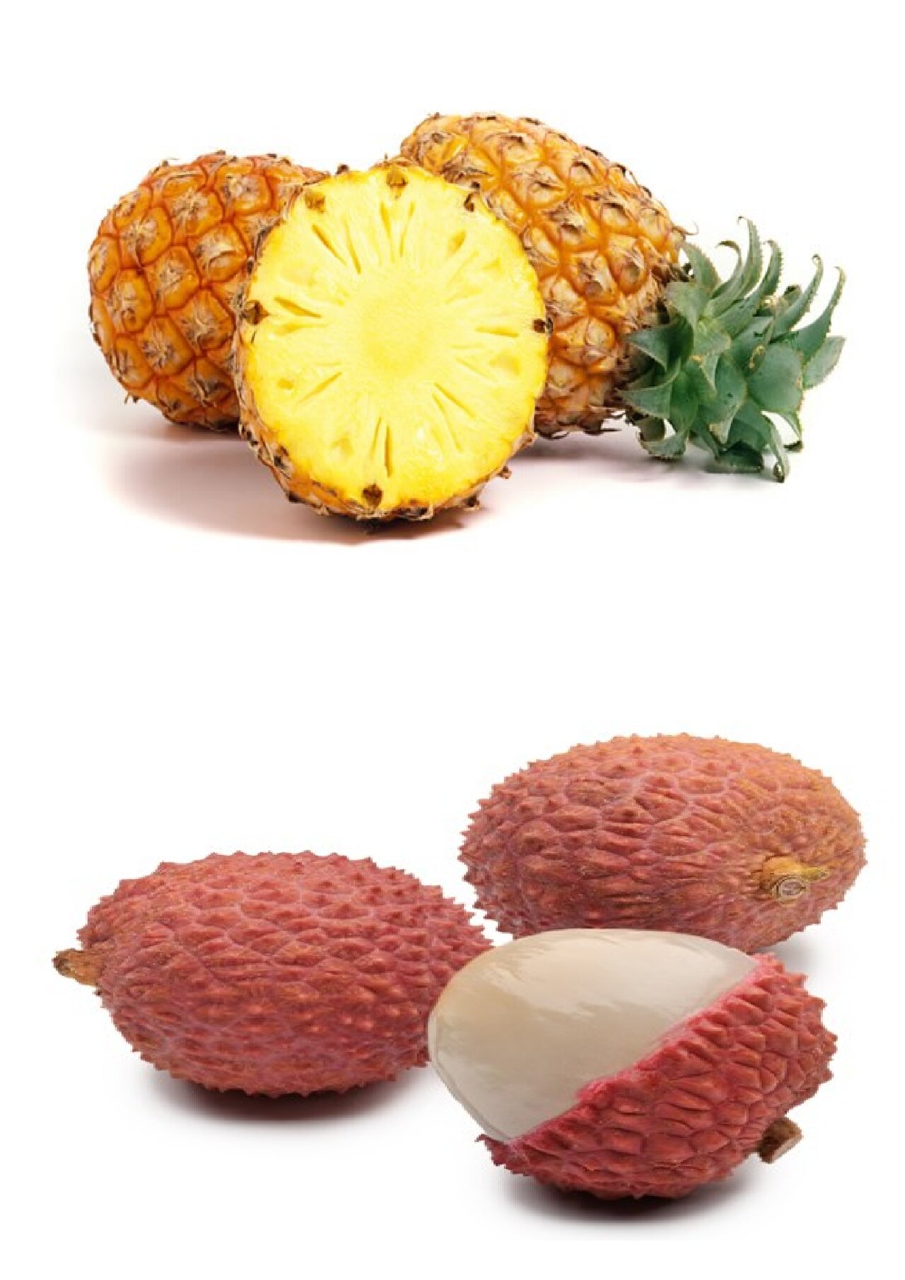 Preview van fruitbingo-kaarten-om-te-tonen.docx