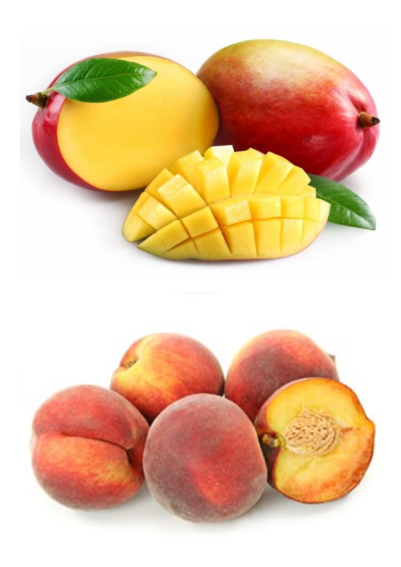 Preview van fruitbingo-kaarten-om-te-tonen.docx