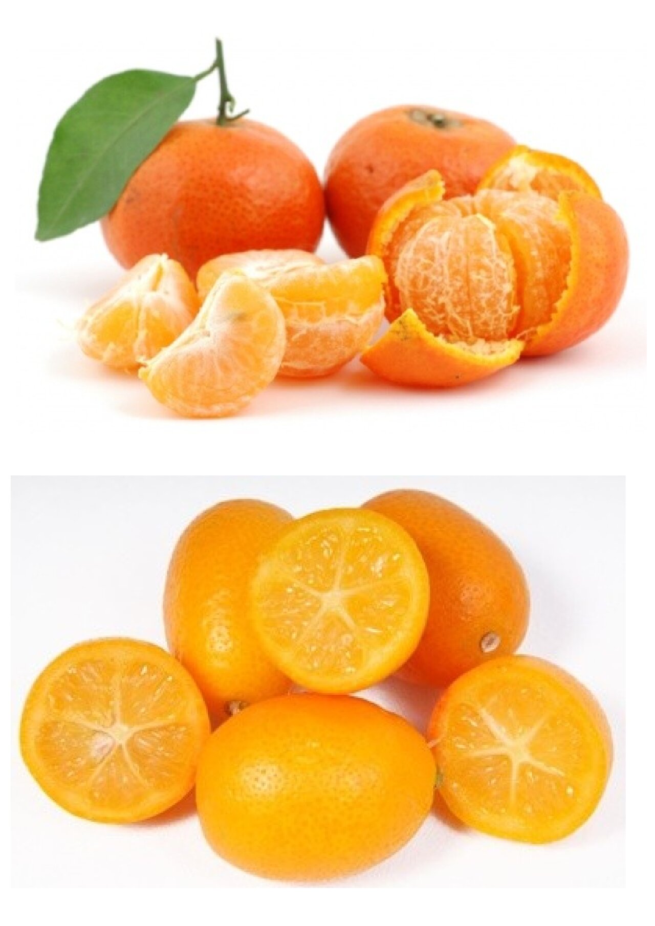 Preview van fruitbingo-kaarten-om-te-tonen.docx