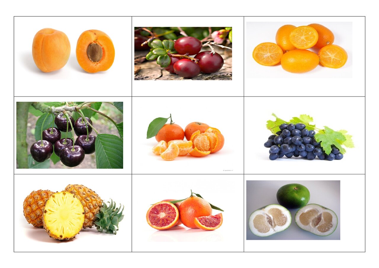 Preview van fruitbingo-kaarten.docx