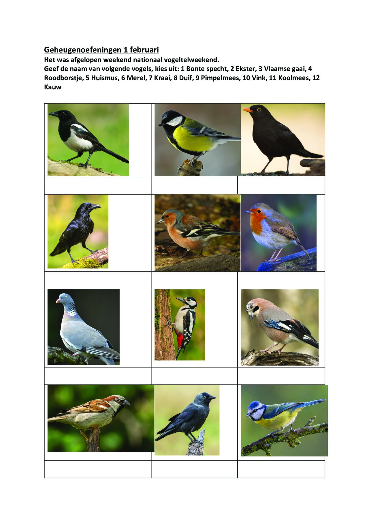 Preview van Geheugenoefeningen-.pdf