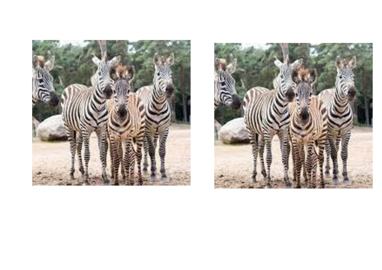 Preview van Dieren-memory.docx