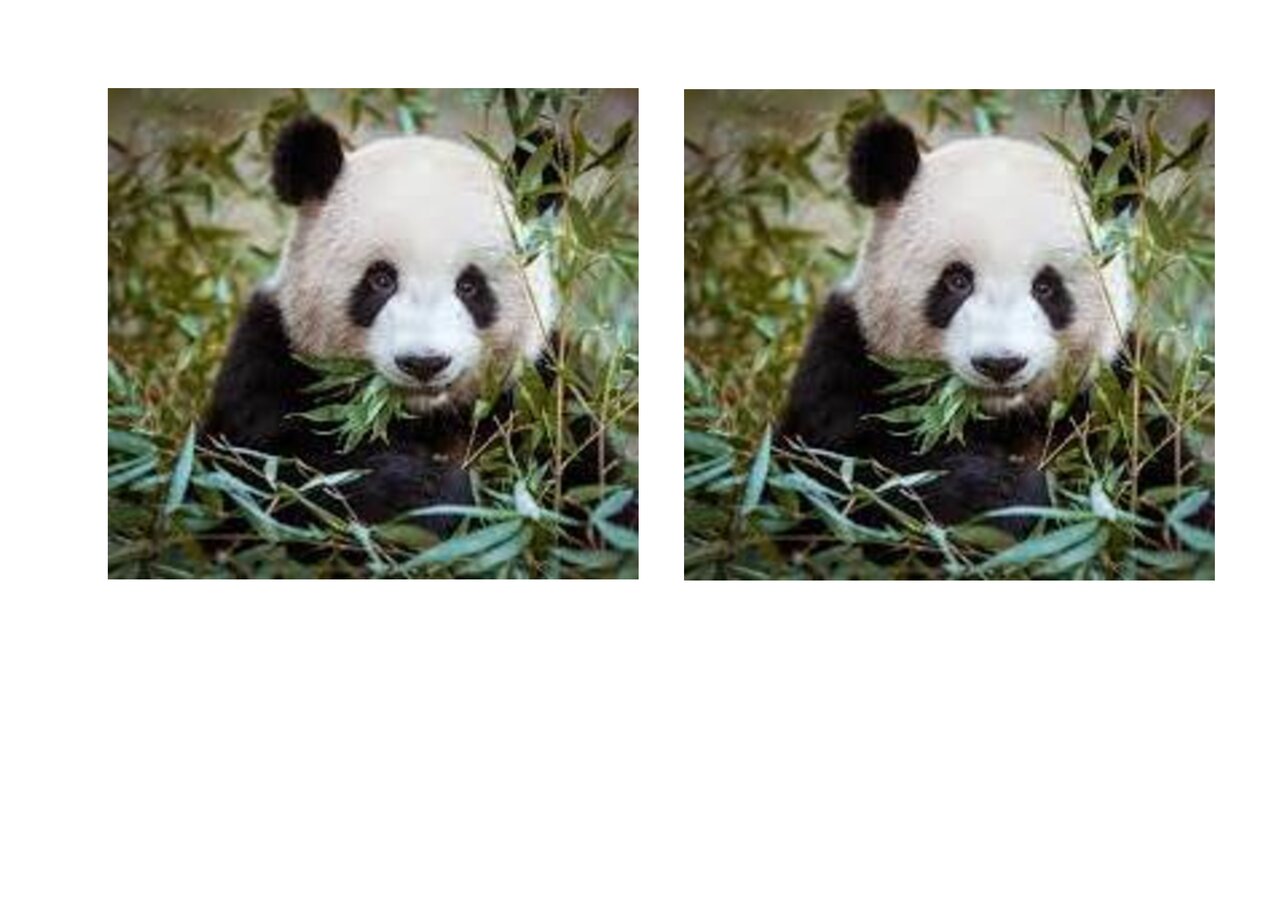 Preview van Dieren-memory.docx