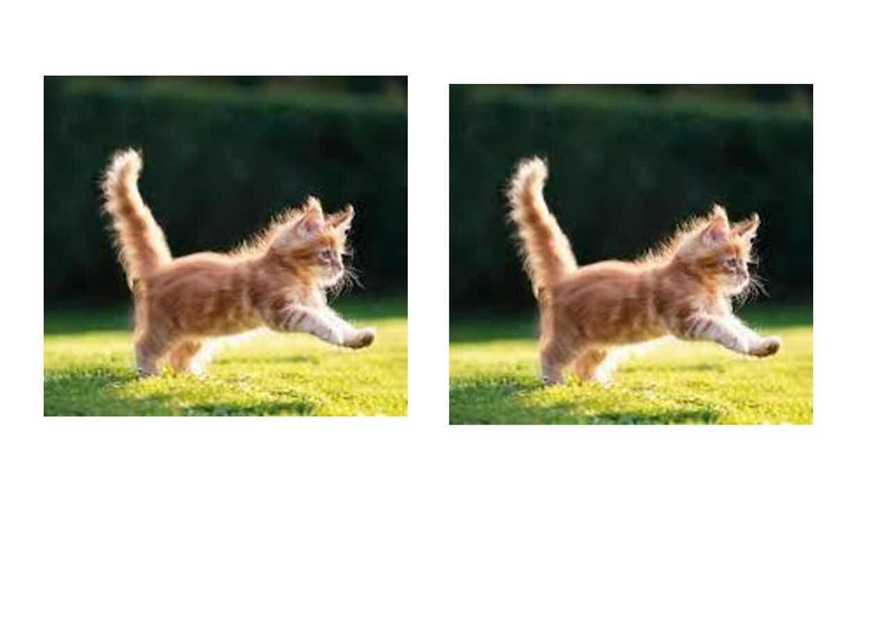 Preview van Dieren-memory.docx