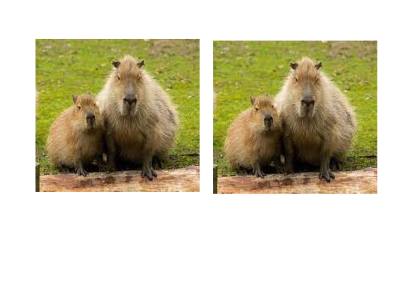 Preview van Dieren-memory.docx