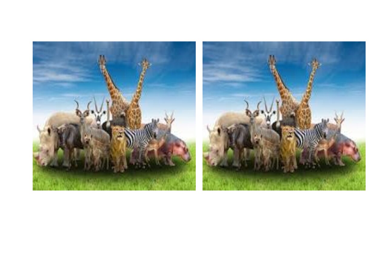 Preview van Dieren-memory.docx