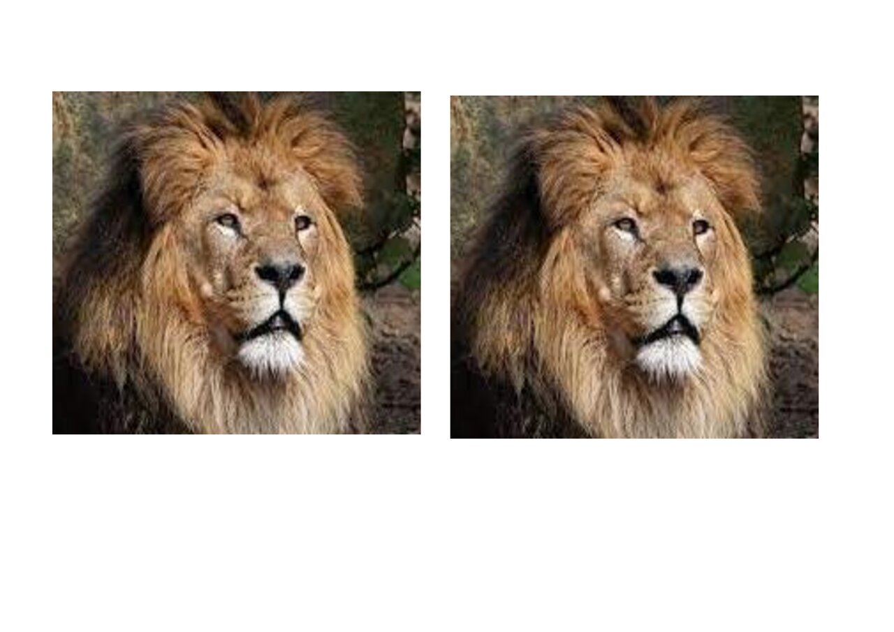 Preview van Dieren-memory.pdf