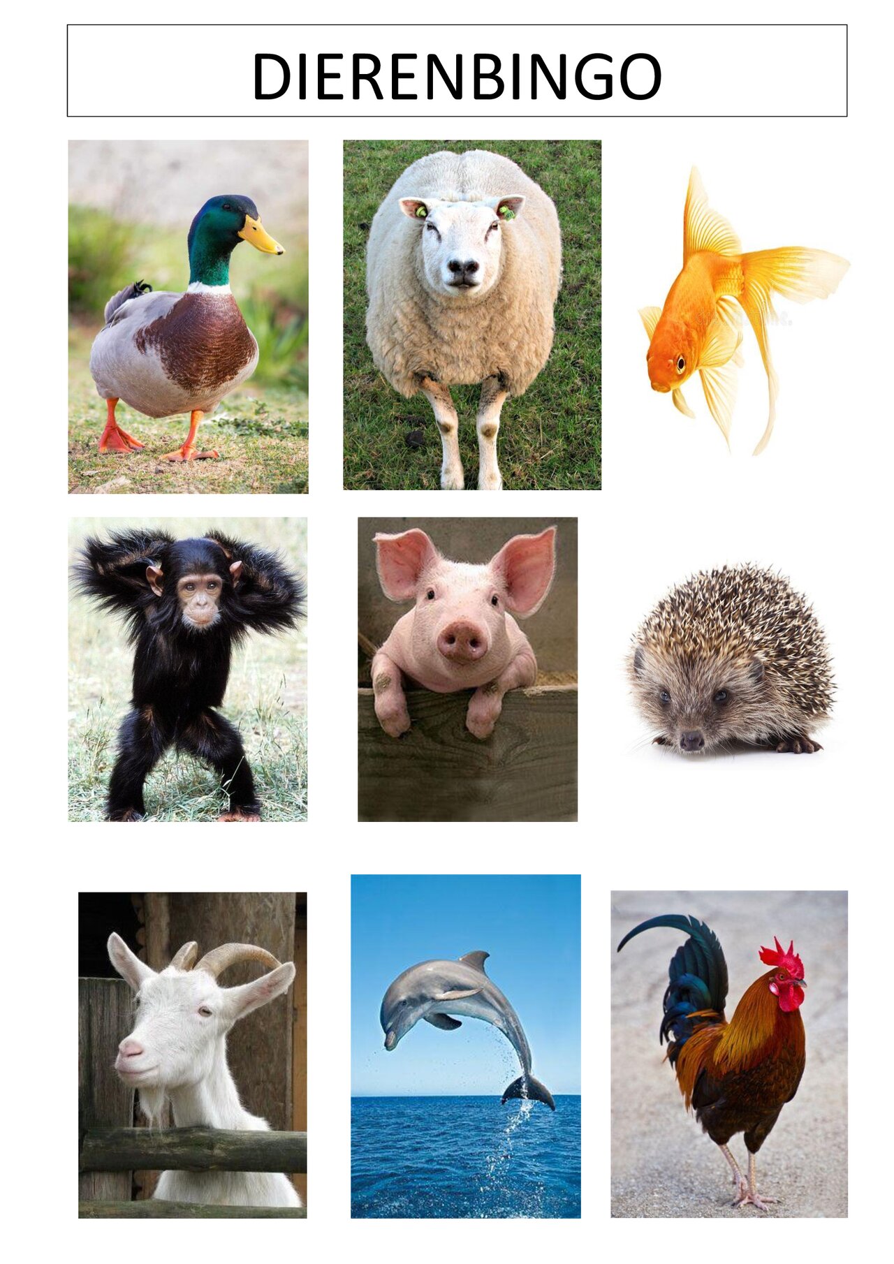 Preview van Dierenbingo---SPEELKAARTEN.pdf
