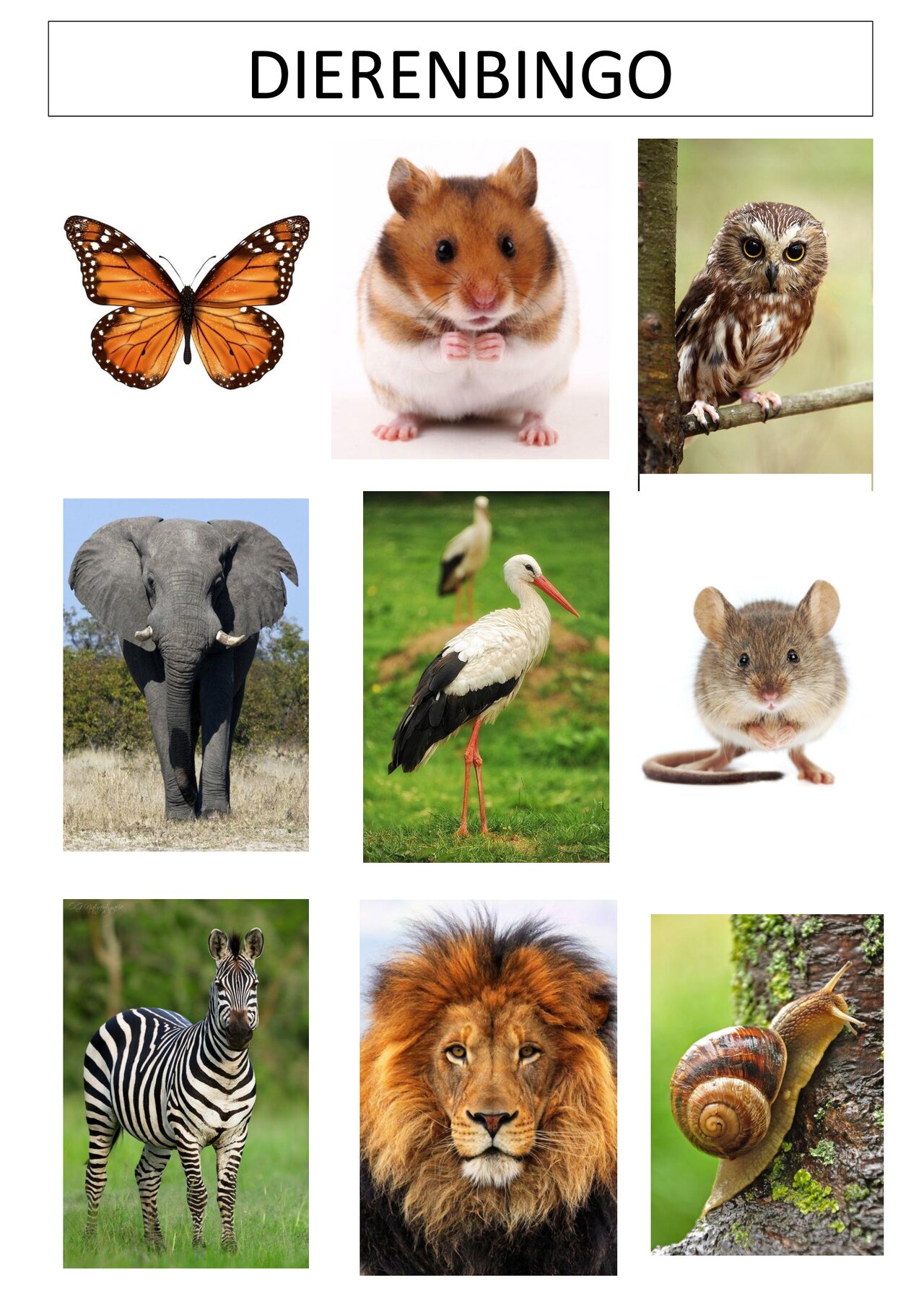 Preview van Dierenbingo---SPEELKAARTEN.pdf